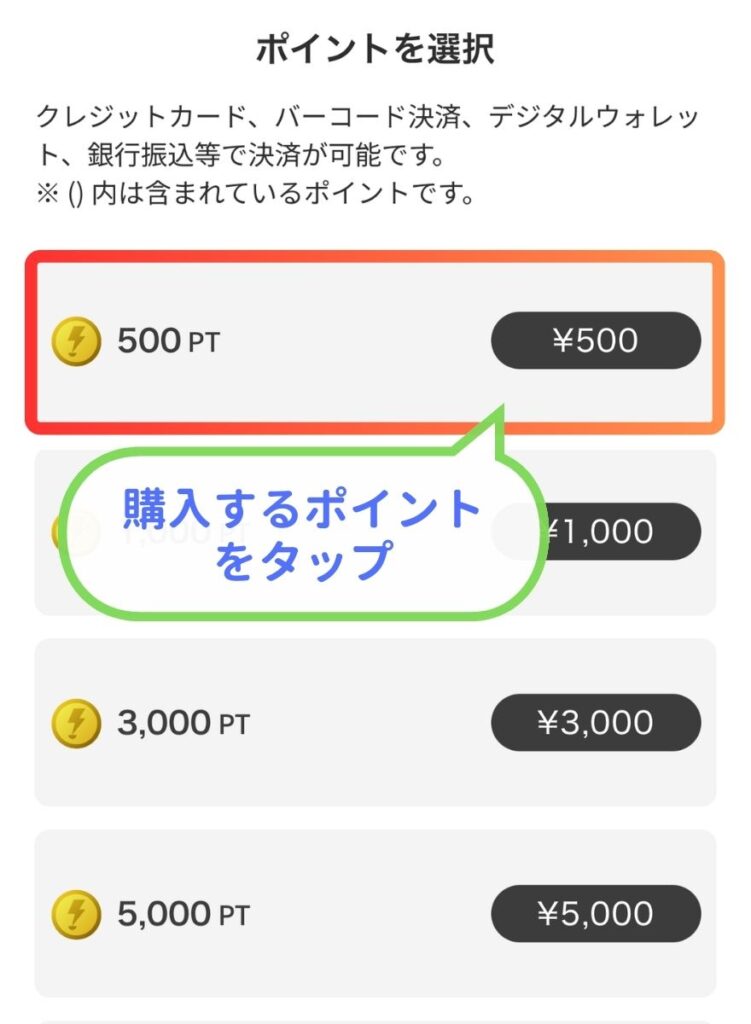 DOPAポイント購入手順2