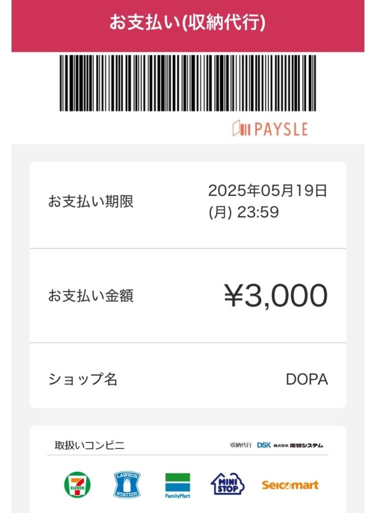 DOPA支払い手順18