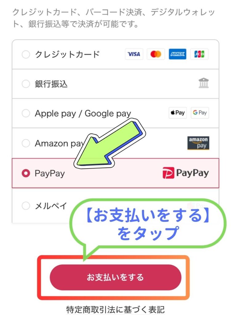 DOPA支払い手順9
