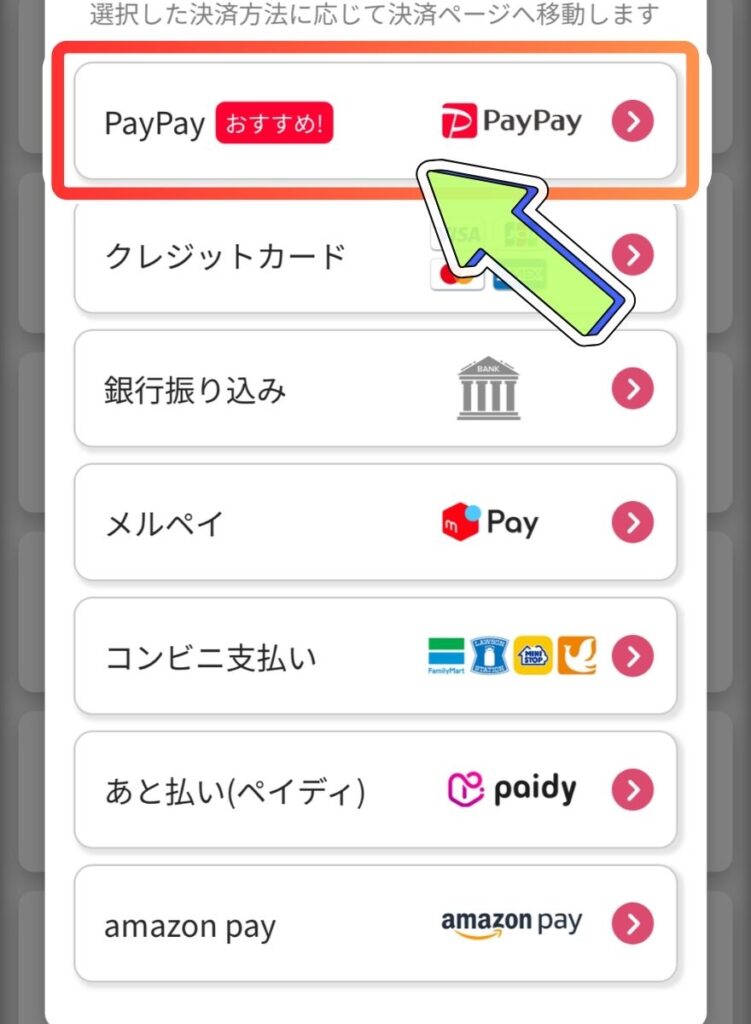 PayPay支払い手順1
